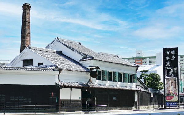 【(福岡)天神発着】西日本鉄道x西鉄旅行 共同企画<第2弾> 秋空を駆ける福岡オープントップバスで行く! 博多三大祭「筥崎宮方生会(ほうじょうや)」と博多百年蔵 日帰りバスツアー 空に近い特等席で巡る都市高速ぐるっと一周の爽快ドライブ!3